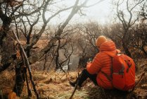 Вид на молодого туриста с рюкзаком, сидящего между сухим лесом на холме, смотрящего фотографии в своей камере — стоковое фото