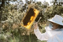 Imker im Schutzanzug begutachtet Bienenwaben bei der Arbeit im Bienenhaus an sonnigen Sommertagen — Stockfoto