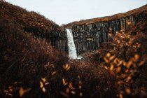 Живописный вид на каскад, падающий в реку со скалы между сухими растениями — стоковое фото