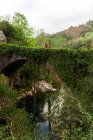 Esploratore anonimo che cammina lungo un ponte di pietra ricoperto di piante verdi negli altopiani nelle giornate nuvolose — Foto stock