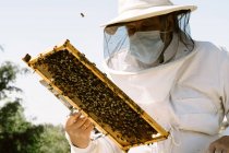 Чоловічий пасічник в захисному костюмі та масці для обличчя, що вивчає медовий лоток з бджолами під час роботи на пасіці в сонячний літній день — стокове фото
