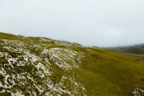 Мальовничий вид на пагорб біля лугу з травою і хмарним небом — стокове фото