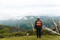 Вид ззаду анонімної літньої жінки з рюкзаком, що стоїть на трав'янистому схилі до гірського піку під час подорожі на природі — стокове фото