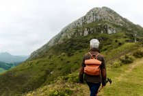 Вид ззаду анонімної літньої жінки з рюкзаком і палицею, що йде на трав'янистий схил до гірського піку під час подорожі на природі — стокове фото