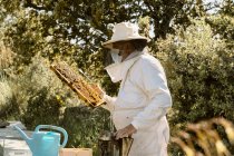 Чоловічий пасічник в захисному костюмі та масці для обличчя, що вивчає медовий лоток з бджолами під час роботи на пасіці в сонячний літній день — стокове фото