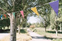 Multicolored triangle flags hanging on rope in green park during event in sunny summer day — Stock Photo