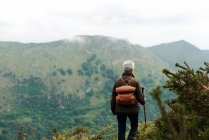 Vista posterior de una anciana anónima con mochila y bastón paseando por una ladera cubierta de hierba hacia el pico de la montaña durante el viaje en la naturaleza - foto de stock