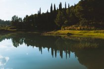 Paisagem incrível de lago com água calma localizada perto de madeiras perenes no dia ensolarado em Dolomitas na Itália — Fotografia de Stock