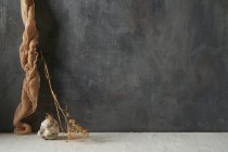 Камень и кусок ткани с сушеным растением на бежевом и сером фоне — стоковое фото