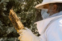 Чоловічий бджоляр в захисному костюмі, який вивчає стільницю з бджолами під час роботи на пасіці в сонячний літній день — стокове фото
