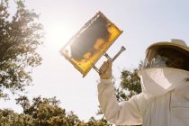 Niedriger Winkel des nicht erkennbaren Imkers im Schutzanzug, der bei der Arbeit im Bienenhaus an sonnigen Sommertagen die Bienenwaben untersucht — Stockfoto
