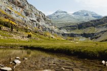Rapide di pietra di fiume di montagna vicino a foresta che cresce su collina in estate — Foto stock