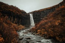 Pintoresca vista de la cascada que cae en el río desde el acantilado entre plantas secas - foto de stock