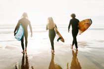 Обратный вид на неузнаваемую группу друзей-серферов, одетых в гидрокостюмы, идущих с досками для серфинга к воде, чтобы поймать волну на пляже во время восхода солнца — стоковое фото