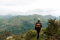 Back view of anonymous elderly woman with backpack and walking stick strolling on grassy slope towards mountain peak during trip in nature — Stock Photo