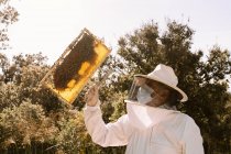 Niedriger Winkel des männlichen Imkers im Schutzkostüm, der bei der Arbeit im Bienenhaus an sonnigen Sommertagen die Bienenwaben begutachtet — Stockfoto