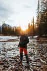 Escursionista in capispalla che trasporta treppiede e distoglie lo sguardo mentre si trova sulla costa innevata del fiume vicino alla foresta di conifere vicino a Castle Mountain al tramonto in Alberta, Canada — Foto stock