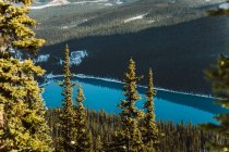 From above clean Lake Louise with bright blue water located near snowy mountains on winter day in Alberta, Canada — Stock Photo