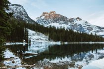 Frau in warmer Kleidung steht an einem Wintertag in British Columbia, Kanada, auf Treibholz in der Nähe des ruhigen Wassers des Emerald Lake gegen verschneite Bergfahrt und Nadelwald — Stockfoto