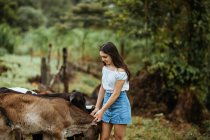 Side view of smiling young female adolescent in casual outfit caressing cute calves grazing on green hilly pasture while spending summer day in countryside in Costa Rica — Stock Photo