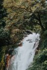 Malerische Landschaft mit Wasserfällen, die von steilen Felsen fallen, umgeben von üppiger, grüner tropischer Vegetation in der Provinz Alajuela in Costa Rica — Stockfoto