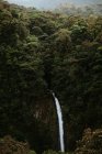 Desde arriba pintoresco paisaje de cascada cayendo de roca escarpada rodeado de exuberante vegetación tropical verde en la provincia de Alajuela de Costa Rica - foto de stock
