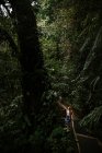 Junge Frau sitzt auf einer schmalen Fußgängerbrücke, umgeben von üppiger, grüner tropischer Vegetation und blickt auf, während sie die Natur während eines Sommerabenteuers in der Provinz Alajuela in Costa Rica erkundet — Stockfoto