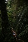 Young woman sitting on narrow footbridge surrounded by tall lush green tropical vegetation and looking up while exploring nature during summer adventure in Alajuela province of Costa Rica — Stock Photo