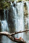 Vista lateral de viajante feminino magro irreconhecível em biquíni rosa deitado em grande ramo de árvore velha contra cascata cachoeira pitoresca caindo de encosta rochosa no dia de verão na Costa Rica — Fotografia de Stock
