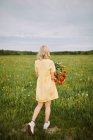 Visão traseira fêmea no vestido de pé com um monte de flores de tulipa vermelha no prado no verão e olhando para longe — Fotografia de Stock