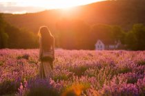 Visão traseira da fêmea irreconhecível em vestido elegante em pé no campo de lavanda florescente ao pôr do sol nas montanhas — Fotografia de Stock