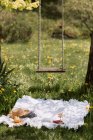Одеяло для пикника с женскими аксессуарами на зеленом лугу возле качелей, висящих на дереве в солнечный летний день в сельской местности — стоковое фото