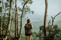 Back view of unrecognizable female hiker with rucksack standing near tall trees above thicket of green jungle in wild nature — Stock Photo