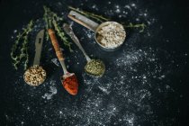 Vista dall'alto di cucchiai con paprica ed erbe secche disposti su tavolo nero con avena e semi di girasole — Foto stock