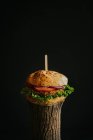 Hambúrguer vegan saboroso com legumes maduros frescos servidos em tronco de madeira em fundo preto no estúdio — Fotografia de Stock