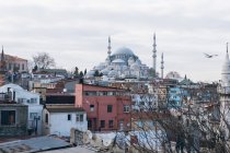 Житловий район з вивітреними будинками, розташованими біля традиційної мечеті проти хмарного неба з птахом у місті Туреччини. — стокове фото