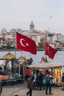 Les gens modernes marchent près des étals et des drapeaux nationaux sur le remblai près de la rivière par temps couvert dans la ville en Turquie — Photo de stock