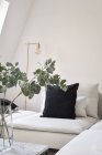 Крупним планом диван з подушками за столом з квіткою — стокове фото
