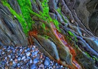 Морской пейзаж с мхом на скале — стоковое фото