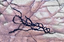 Интимный пейзаж скалы с сухими водорослями — стоковое фото
