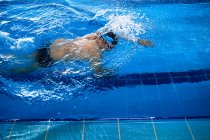 Alto angolo di nuoto maschile in stile crawl in piscina durante l'allenamento — Foto stock