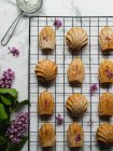 Draufsicht auf schmackhafte Madeleines auf Kühlgestell in der Nähe von Lavendelblüten auf Marmoroberfläche — Stockfoto