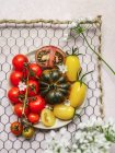 Draufsicht auf vegetarischen Tomatensalat, serviert auf einem Teller in einem Gestell auf einem grauen Betontisch — Stockfoto