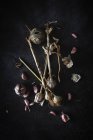 Зверху букет свіжих фіолетових зубчиків часнику, розміщених на темному фоні — стокове фото