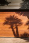 Palmen werfen Schatten auf Hauswand an sonnigem Tag in exotischer Stadt — Stockfoto