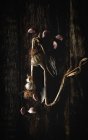 De arriba ramo de dientes de ajo púrpura fresco colocado en fondo de madera oscura - foto de stock