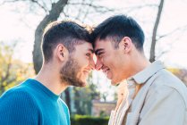 Вид сбоку на восхитительную гомосексуальную пару мужчин, трогающих носы и смотрящих друг на друга в парке — стоковое фото
