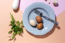 Vue du dessus des œufs de poulet sur assiette avec fourchette contre les brins de persil frais sur fond bicolore — Photo de stock