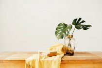 Склад свіжих зелених рослин у скляній вазі та складених книгах з жовтим текстилем на дерев'яному столі на білому тлі — стокове фото