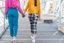 Обратный вид обрезанной анонимной многорасовой пары гомосексуальных женщин, держащихся за руки и идущих вдоль моста в городе во время летней прогулки — стоковое фото